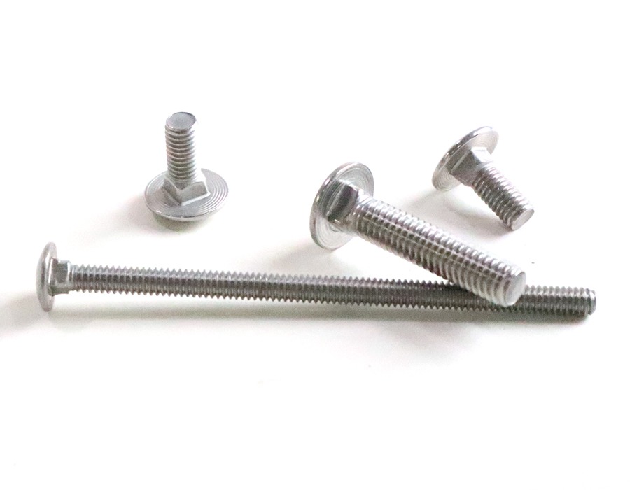 Stainless steel carriage bolts