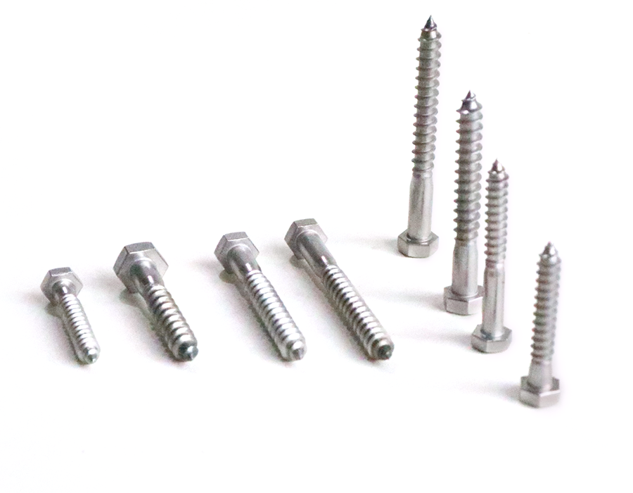 Stainless steel bolt lag hex